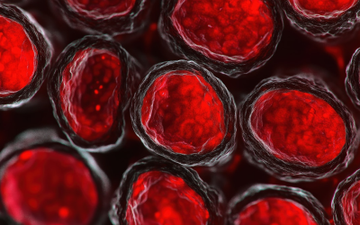 Connaître votre groupe sanguin peut littéralement sauver votre vie aujourd&rsquo;hui